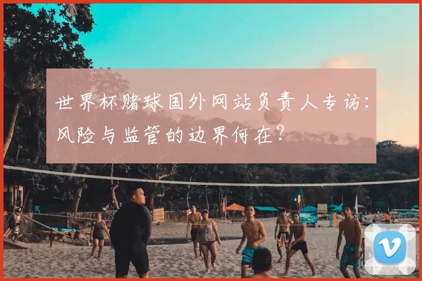世界杯赌球国外网站负责人专访：风险与监管的边界何在？