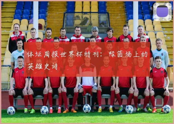 体坛周报世界杯特刊：绿茵场上的英雄史诗