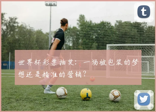 世界杯彩票抽奖：一场被包装的梦想还是精准的营销？