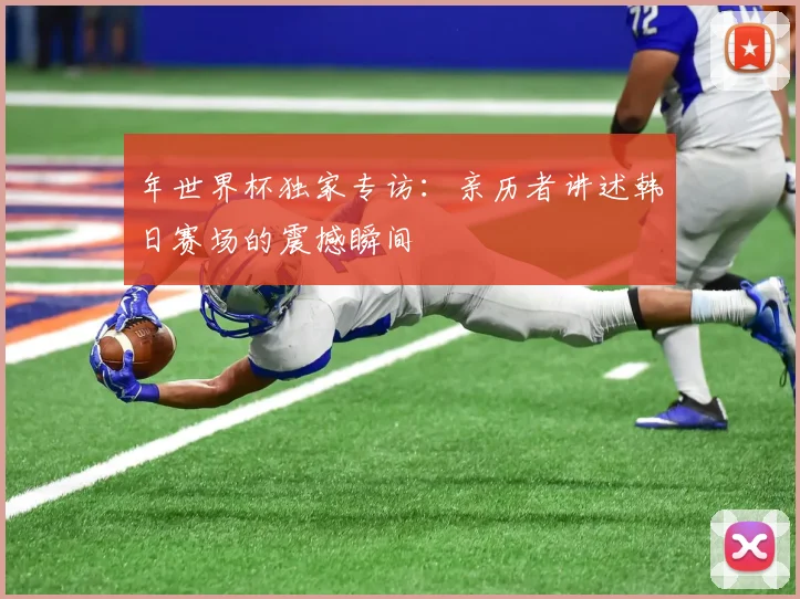 年世界杯独家专访：亲历者讲述韩日赛场的震撼瞬间