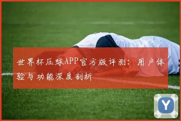世界杯压球APP官方版评测：用户体验与功能深度剖析