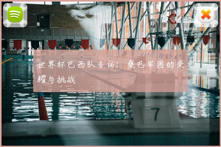 世界杯巴西队专访：桑巴军团的荣耀与挑战