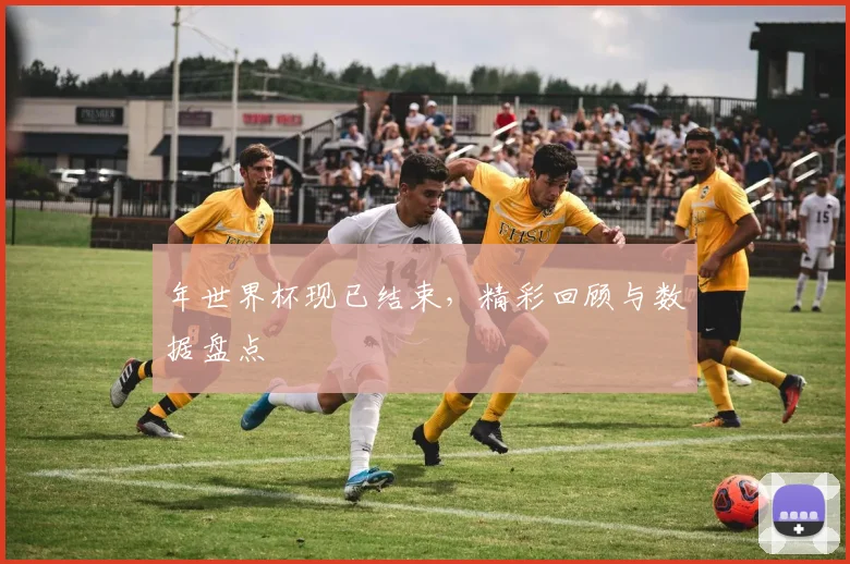 年世界杯现已结束，精彩回顾与数据盘点