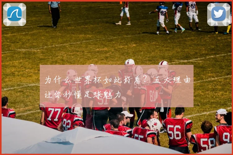 为什么世界杯如此好看?五大理由让你秒懂足球魅力