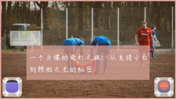 一个头像的奇幻之旅：从竞猜小白到预测之王的秘密